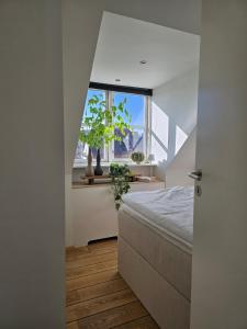 Luxurious penthouse, Frederiksbjerg