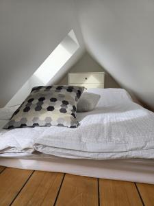 Luxurious penthouse, Frederiksbjerg