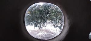 Tierra de Arroyo, Mallin-Tanti