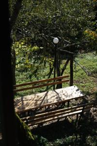 Sunny Side - მზიანი მხარე