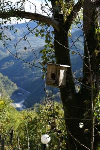 Sunny Side - მზიანი მხარე