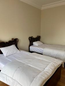 Nile View Luxe Stay , Walk to Luxor Temple