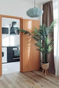 Zentrum, gemütlich, modern, 2P, WiFi