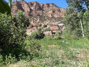 Gite Ifoulou Tassaout