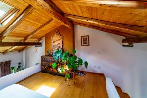 House of Alchemy - San Luca - Stadio