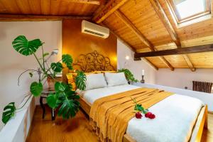 House of Alchemy - San Luca - Stadio