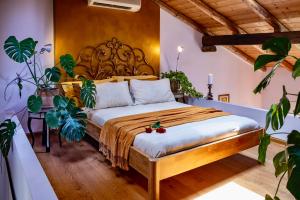 House of Alchemy - San Luca - Stadio