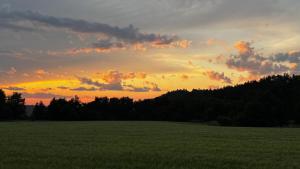 Fjällbacka Villa with large garden
