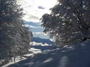 B&B / Chambres d'hotes Le Chalet Du Blanc Spa yoga : photos des chambres