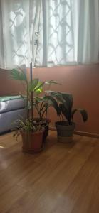 Departamento Centro Nqn