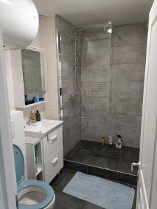 Appartement 35m2 - Notre Dame de Lorette