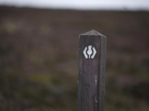 Charming cottage close to the Cairngorms
