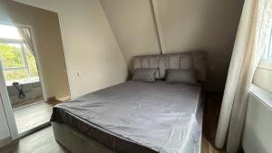 Cozy cottage with mountain view