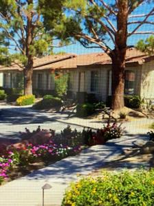 Indian Palms Intervals