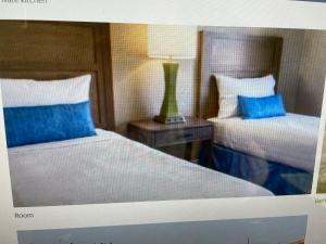 Indian Palms Intervals