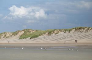 Modern & Cosy Holiday Cottage with Patio & Fenced Garden near Dunes & Beach