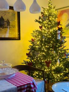 Top view residence in central Ljubljana