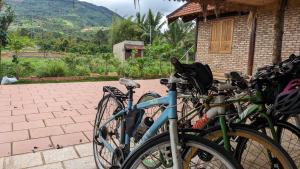 Charming Wooden House with Herbal Farm Vibes