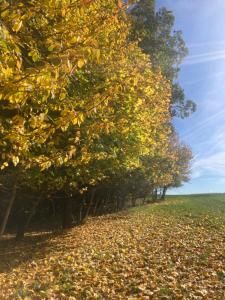 Lumpovna wellness apartmán