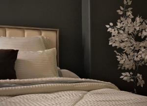 Elegant Apartment in Zamalek