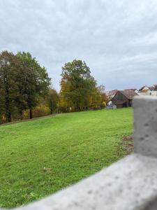 Ruhiges Apartment mit Terrasse an der Donau - Schwaben Living