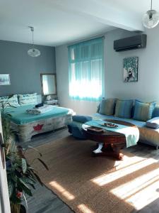 Guest studio Todorka