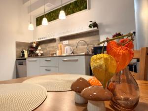 Apartmán Nekonečno Jeseník