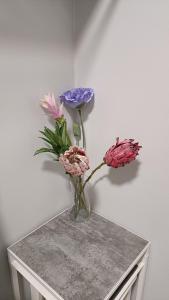 Apartament Säärijarventie 22