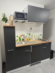 Ruhiges Apartment mit Terrasse an der Donau - Schwaben Living