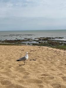 Maison de bord de mer