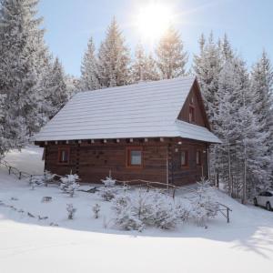 Jariabka Chalet - sun terace, fireplace, grill, space to play, green embrace of the forest in the Low Tatras