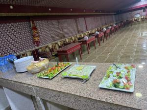 Rayyan Bedouin life camp