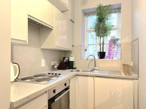 cozy 1 bedroom flat in Mayfair