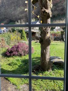 Les Volets Verts gîte -