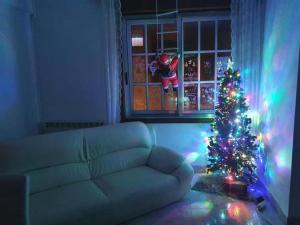 Familia y Grupos Luces Navidad VIGO