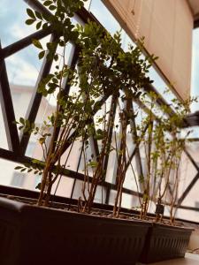 Simplicidade e conforto a dez minutos de Itaipava!