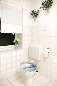 Rheinblick und Yachthafen mit privatem Stellplatz