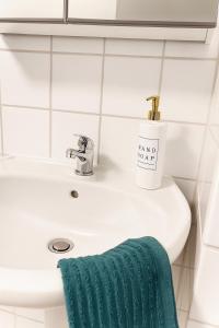 Rheinblick und Yachthafen mit privatem Stellplatz