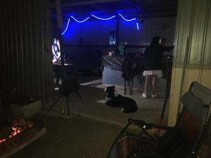 3 Campsites ONLY for Self contained Motor Homes RVs ONLY! BYO Toilet and bed! DIDO Spirit of Tasmania Stopover