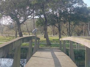 Big Fish 1 - Charming Beach Apartment