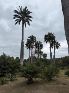 Maravillosa casa a los pies del Cerro la Campana