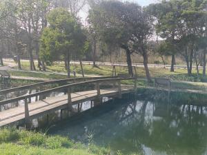 Boho Beach Apartment