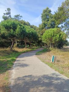 Boho Beach Apartment
