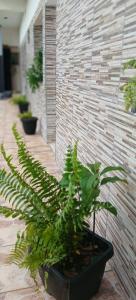 Apartamentos entero hab Triple