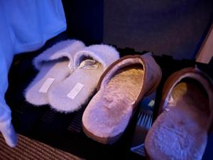 Eyja Mörk - Northern lights Dome with Private Bathroom and other facilities