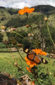 Recanto das Maritacas