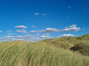 8 person holiday home in Pandrup-By Traum