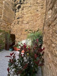 De Rohan Central Townhouse 38