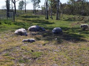 10 person holiday home in Hadsund-By Traum