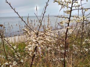 Tranquil Beach Retreat - By Traum